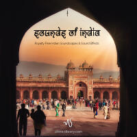 Sounds of India - effetti audio per video, effetti sonori free royalty